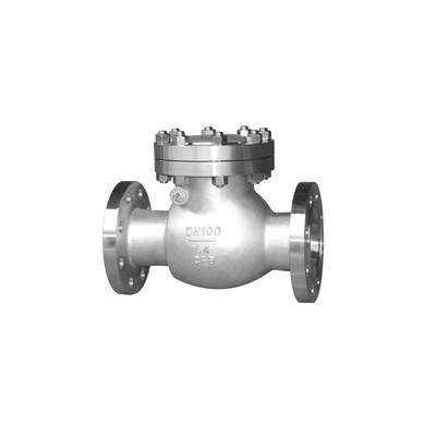 ANSI Stainless Steel Check Valve